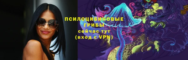 прущие грибы Аркадак