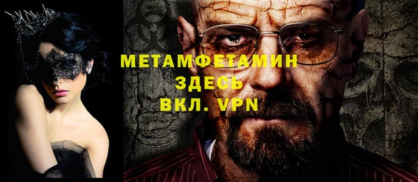 прущие грибы Аркадак