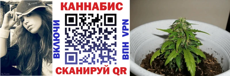 Конопля план  Усолье-Сибирское 